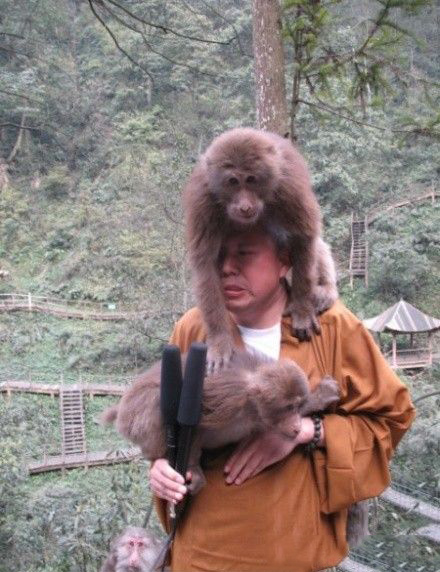 被妖猴惡搞的延參法師