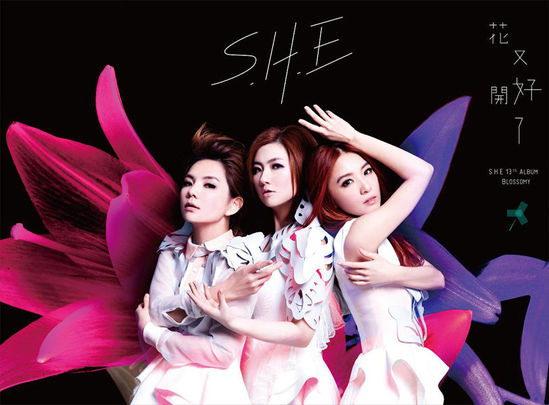 重新復(fù)合的S.H.E